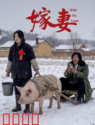 嫁妻：绝望主妇的逆袭