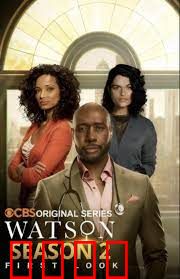 华生第二季：迷雾疑云