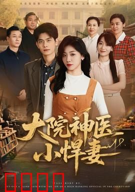 大院神医小悍妻：穿越女医斗极品