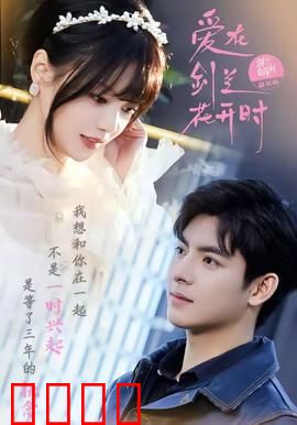 爱在剑兰花开时：跨越时空的告白