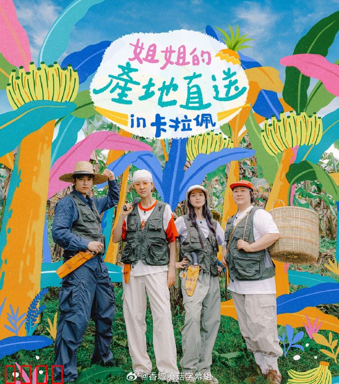 姐姐家的产地直送3：果园暗战