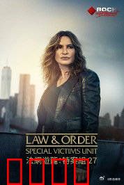 法律与秩序：正义暗影