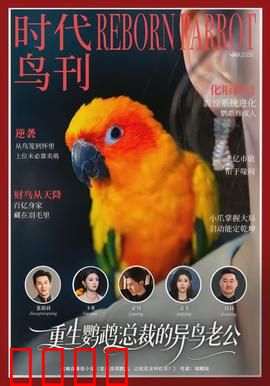 重生鹦鹉：轮回之谜