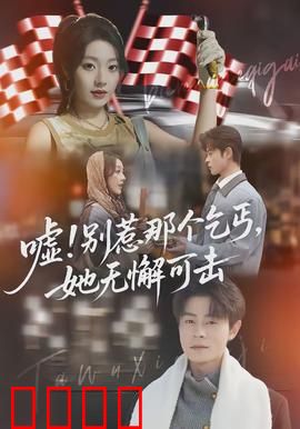 嘘别惹那个乞丐她无懈可击：乞丐女王逆袭