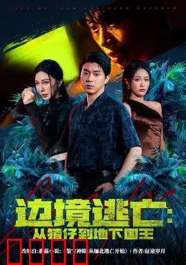 边境逃亡：生死一线间