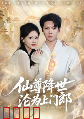 仙尊降世沦为上门郎：逆袭赘婿