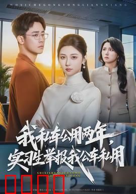 我私车公用两年，实习生举报我公车私用：反杀真相