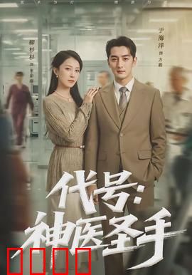 代号：暗夜谍影