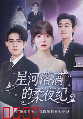 星河落满的柔夜纪：穿越星河的约定