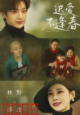 迟爱不逢春：错过半生