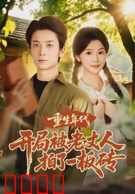 重生年代开局被老丈人拍了一板砖：翻身逆袭