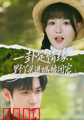 一卦定情缘，野丫头进城被团宠：神秘卦象牵红线