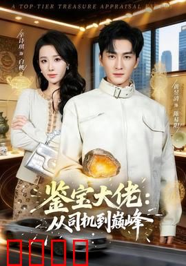 鉴宝大佬：惊天逆袭