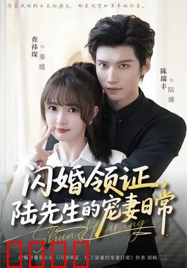 闪婚领证，陆先生的宠妻日常：甜到心坎