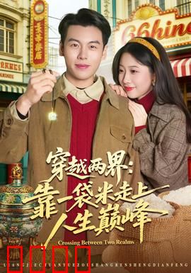 穿越两界：平行宇宙的救赎