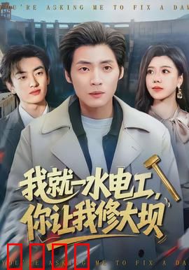 我就一水电工，你让我修大坝：菜鸟逆袭记