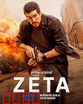 谍杀风暴：暗战密令