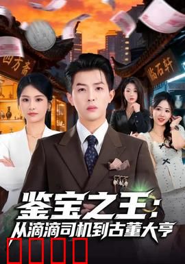 鉴宝之王：古董大劫案