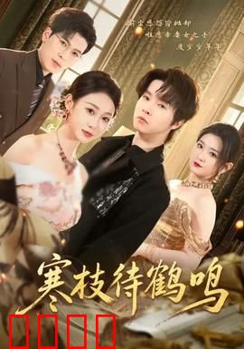 寒枝待鹤鸣：归途终有期