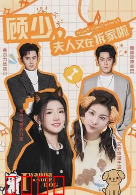 顾少，夫人又在拆家啦：霸总追妻记