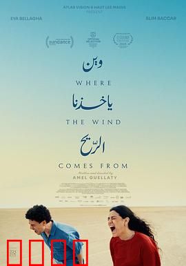 风来之所：风中的秘密