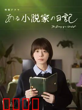 某小说家的日记：现实与虚构的边界