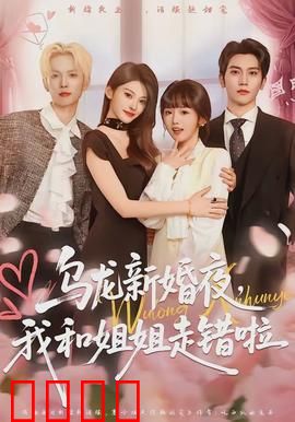 乌龙新婚夜，我和姐姐走错啦：洞房迷局