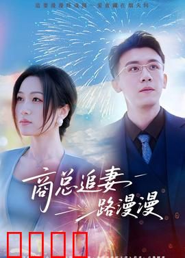 商总追妻路漫漫：霸道总裁追妻记