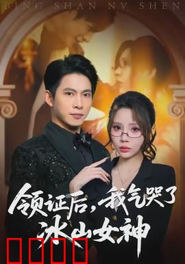 领证后，我气哭了冰山女神：冷妻追夫火葬场