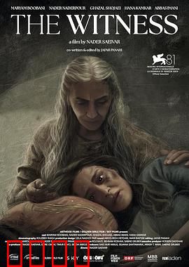 证人2024：真相的致命代价