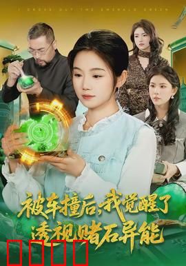 被车撞后，我觉醒了透视赌石异能了：赌石界新传奇