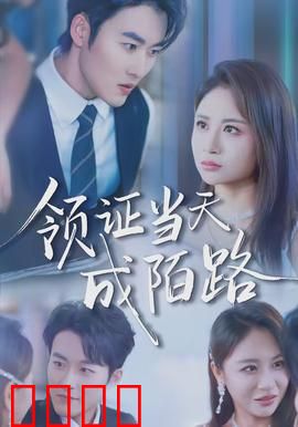 领证当天成陌路：闺蜜的阴谋