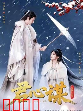 君心谋：步步为营的棋局