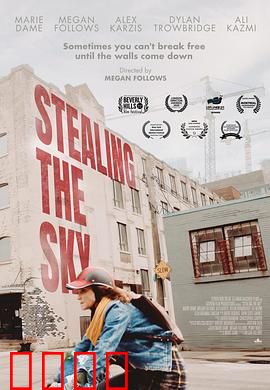 窃取天空：盗色者