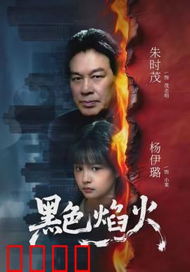 黑色焰火：复仇之光