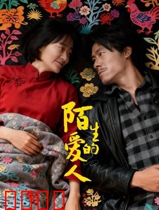 陌生的爱人：记忆迷局