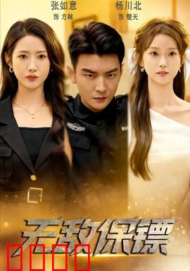 无敌保镖：血路护航