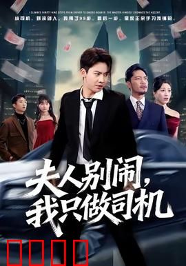 夫人别闹我只做司机：总裁的专属司机