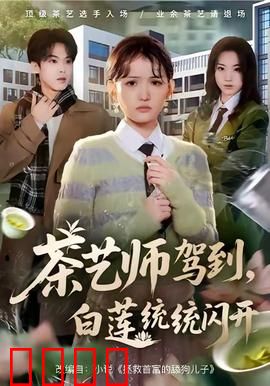 茶艺师驾到白莲统统闪开：斗茶逆袭