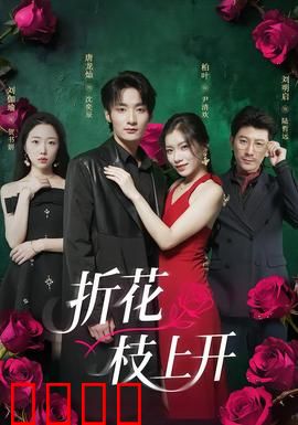 折花枝上开：情缘再续