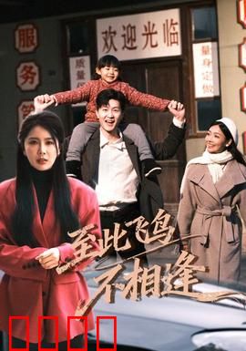 到此飞鸟不相逢：错失的归期