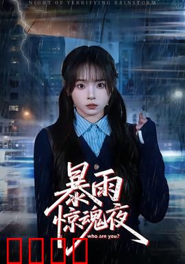 暴雨惊魂夜：雨夜谜案