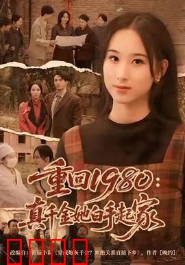 重回1980：时光逆旅