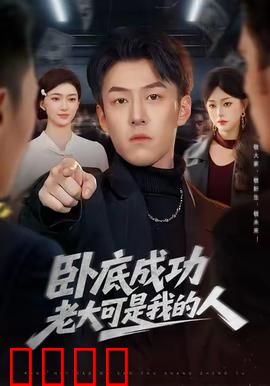 卧底成功老大可是我的人：黑道兄弟情