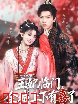 王妃临门全城上下有喜了：王妃逆袭