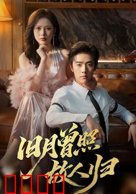 旧月曾照故人归：月下重逢