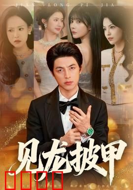 见龙披甲：血战沙场