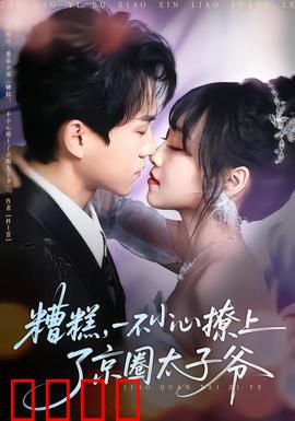 糟糕，一不小心撩上了京圈太子爷：逆袭甜宠