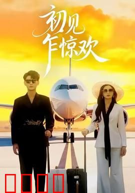 初见乍惊欢：梦幻邂逅