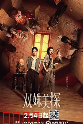 双姝美探：搭档破奇案